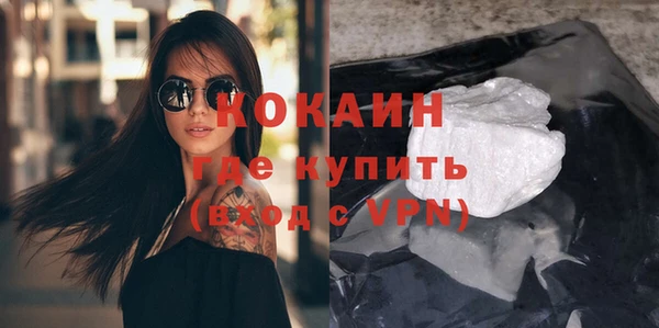 прущие грибы Кодинск