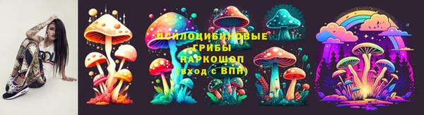 прущие грибы Кодинск