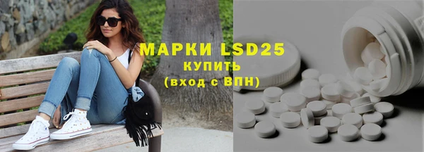 прущие грибы Кодинск