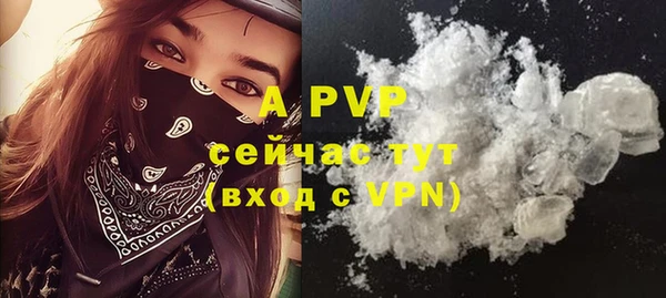 прущие грибы Кодинск